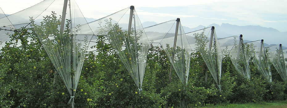 Malla antigranizo